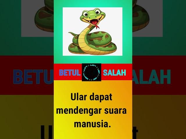 SOAL TEBAK-TEBAKAN DUNIA BINATANG//Ular