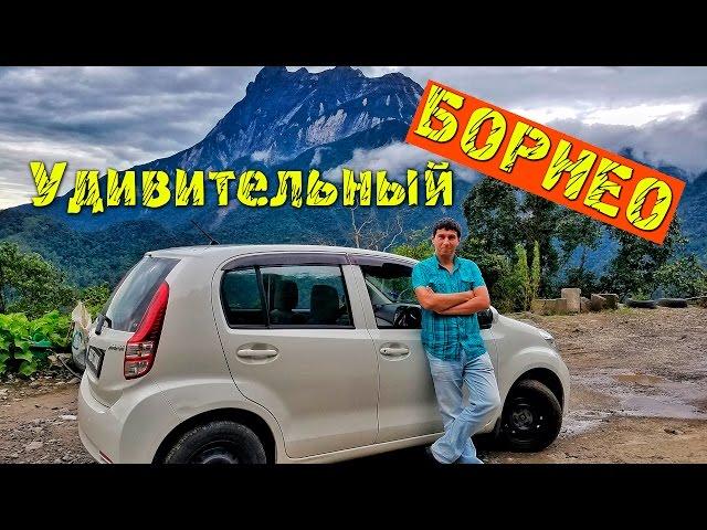 УДИВИТЕЛЬНЫЙ БОРНЕО | Путешествие по Малайзии