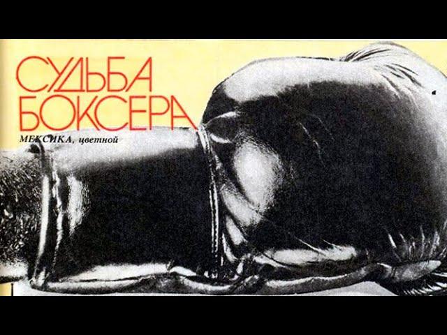 Судьба боксера (1984) на советском экране