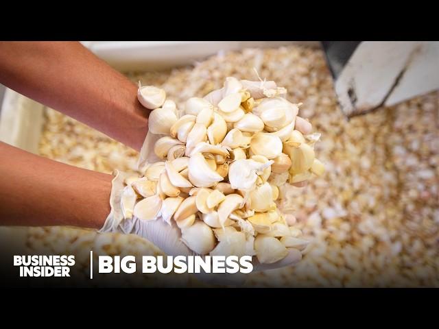 How The US' Biggest Garlic Producer Survived The Fall Of American Garlic | Big Business