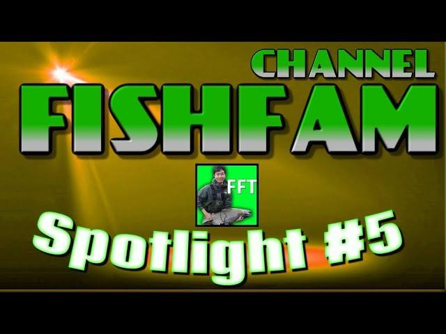 Fishfam Channel Spotlight #5 - Fish for Thought - Aquarium Channel