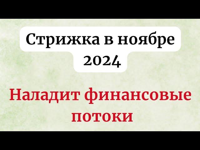 Стрижка в ноябре 2024. Наладит финансовые потоки.