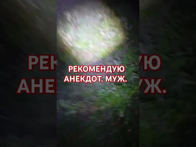 РЕКОМЕНДУЮ АНЕКДОТ. МУЖ.