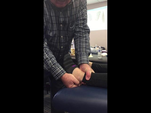 Reflex Therapy for Chronic Ankle Laxity Hesch Method