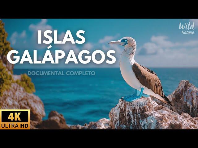 ISLAS GALÁPAGOS - LA CUNA DE LA VIDA SALVAJE | Documental Completo