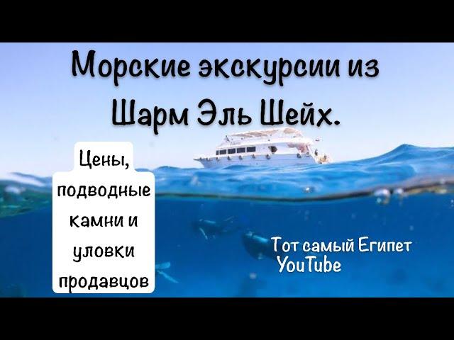 Нюансы и схемы обмана. Топ морских экскурсий из Шарм Эль Шейх Египет 2024 -2025