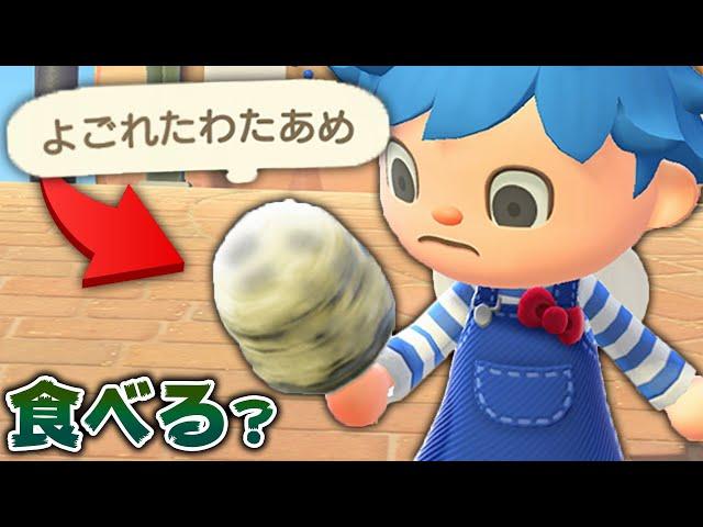 夏の新アイテム"わたあめ"持ちながら転びまくったら汚れる説【あつ森】【あつまれどうぶつの森検証】