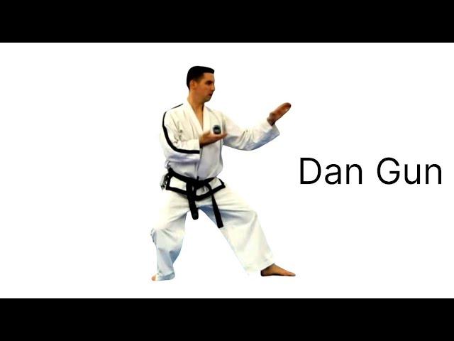 Dan Gun