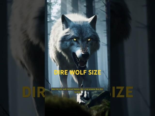 How Big is a Dire Wolf #shorts #direwolf