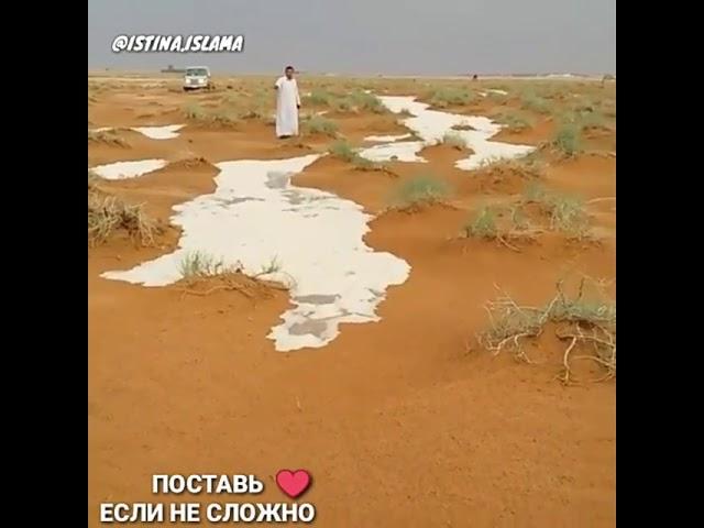 Красивое чтение Корана. ..(67)