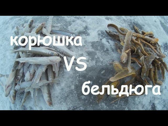 зимняя рыбалка, финский залив, корюшка vs бельдюга