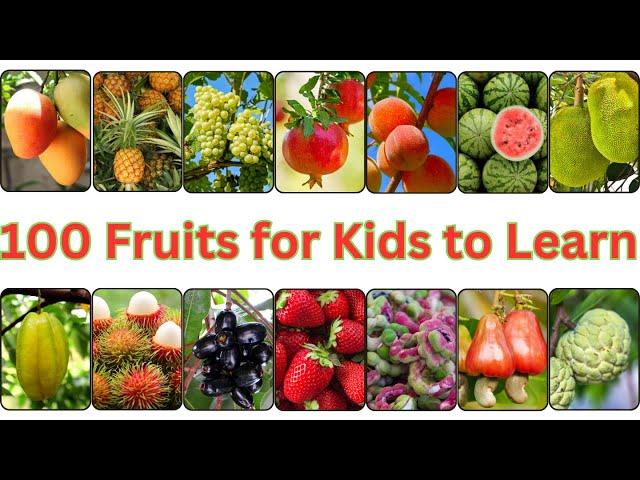 Fruit Frenzy! 100 Fruits for Kids to EXPLORE and Learn