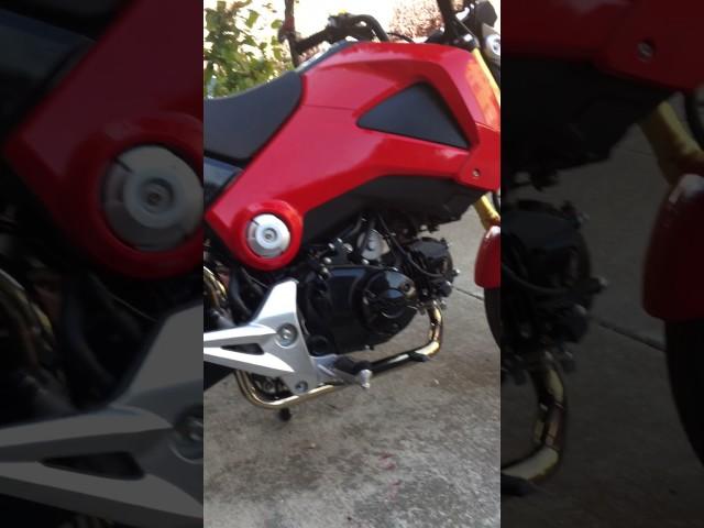 Honda Grom Black Widow Exhaust