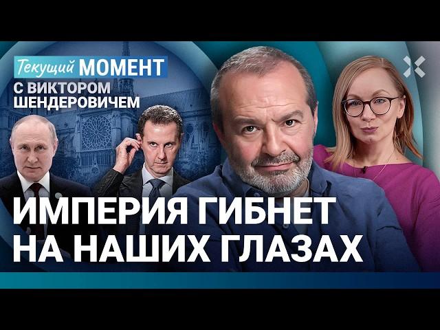 ШЕНДЕРОВИЧ: Падение диктатуры — всегда хорошо. Путин. Асад. Грузинская катастрофа.Хинштейн. Мизулина