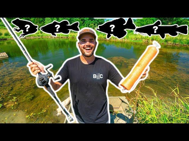 Catching and Cooking EVERY SPECIES in My BACKYARD POND!!! (Multi-Species Mukbang)