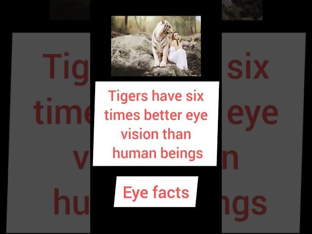 facts about eyes |science facts #shorts #science #eyes #facts #study #biology #science #trending