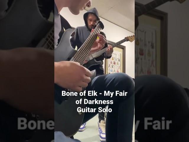 Bone of Elk | My Fair of Darkness | Guitar Solo