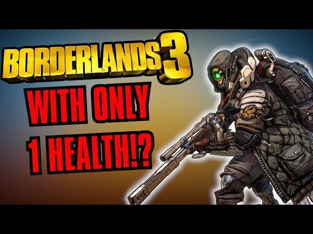 Can You Play Borderlands 3 Without Taking Damage?