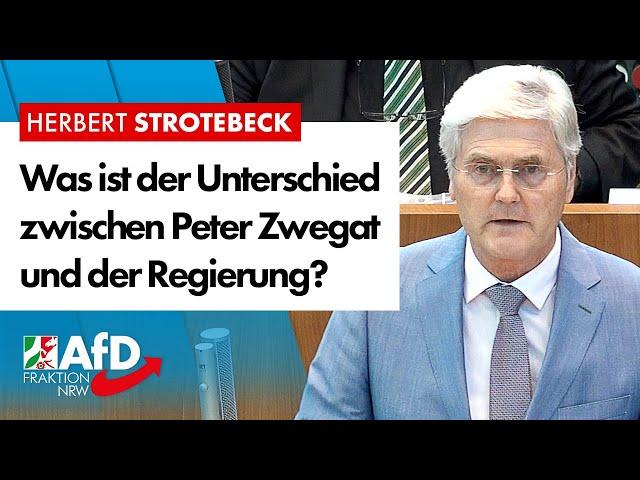 Was ist der Unterschied zwischen Peter Zwegat und der Regierung? – Herbert Strotebeck (AfD)