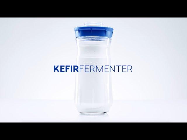 Kefirko Kefir Fermenter