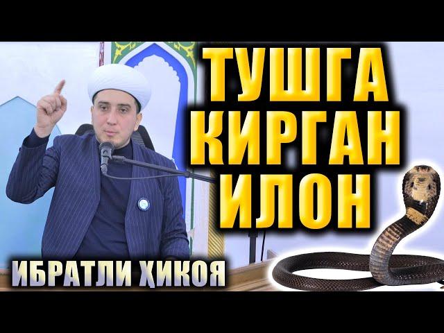 ТУШГА КИРГАН ИЛОН. ИБРАТЛИ ҲИКОЯ