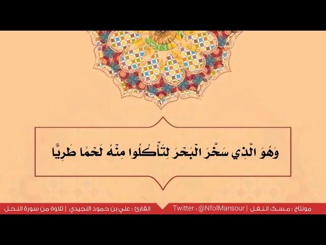 آيات - من سورة النحل ¦ للقارئ علي بن حمود النجيدي