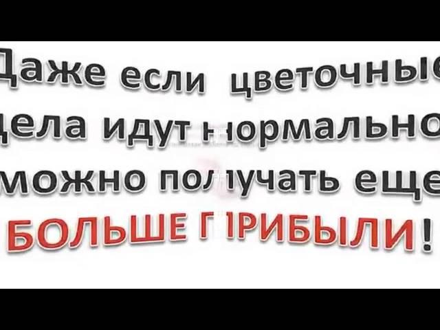 Секреты профессионального ухода за срезанными цветами