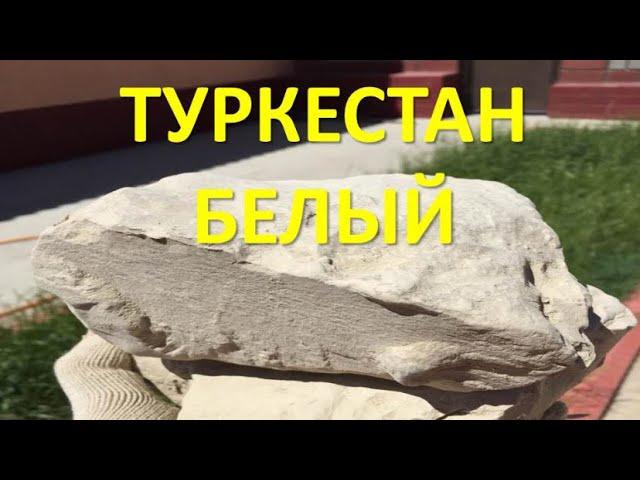 Чистка туркестана белого 2. Видео от Софии #глина #асмр #туркестан