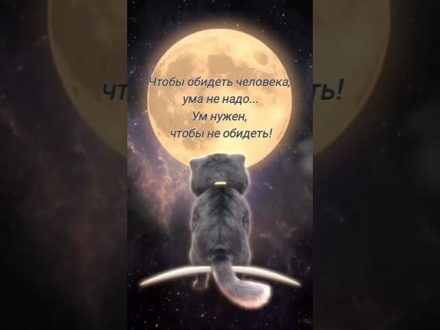 Не обижайте #жизнь #мысли #умныемысли #всемдобра #свойдом