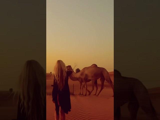 Dubai -desert. # vlog#sunset#dubai#travel #life #