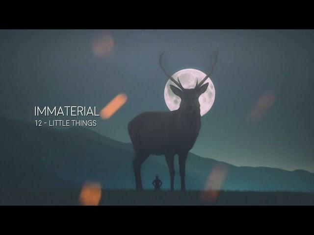 Little Things | Immaterial