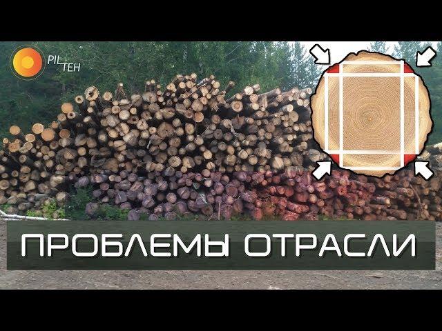 PROBLEMS of the Russian TIMBER INDUSTRY. How can we manage small timber?