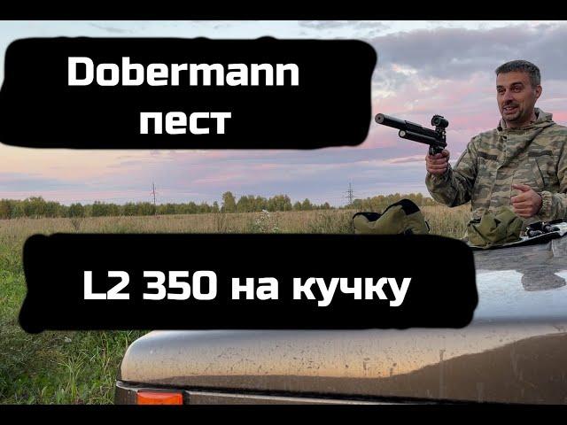 Смотрю кучки пистолета доберман и л2, что на продаже.