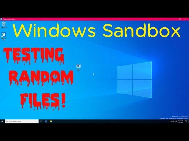 Testing out Windows Sandbox with random files!