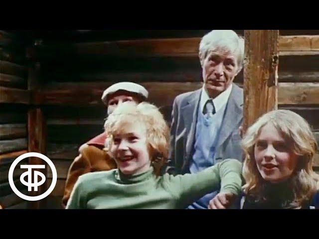 Песня о собаке из фильма "Приключения Электроника" (1979)