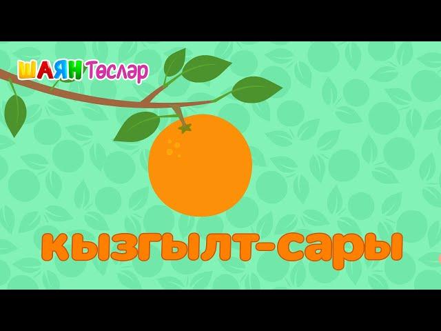 ШАЯН Төсләр - Кызгылт-сары / Оранжевый - Учим цвета на татарском языке