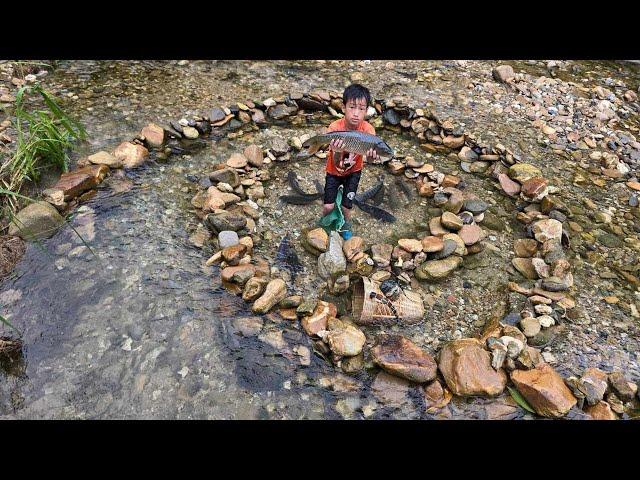 fish trap, how to arrange rocks to make a fish trap, highland boy khai traps stream fish for sale