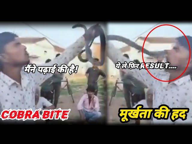 COBRA BITE। मूर्खता की हद।। ACTION AND REACTION। VENOMOUS SNAKE।