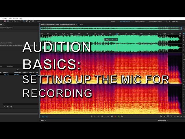 Adobe Audition Basics: How to Set up the Microphone for Recording