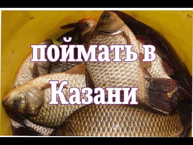 Где поймать рыбу в Казани