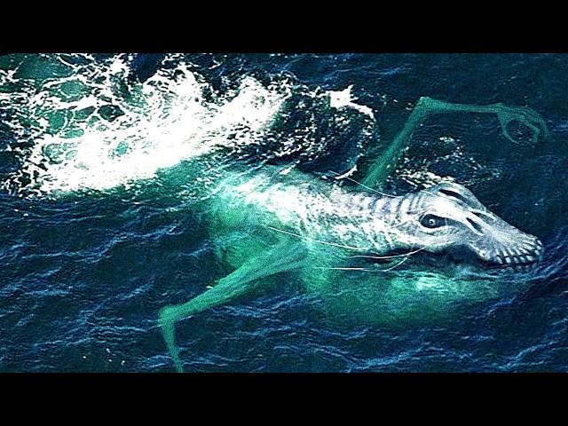 Dark and Disturbing Ocean Mysteries That Are IMPOSSIBLE To Solve - Part 2