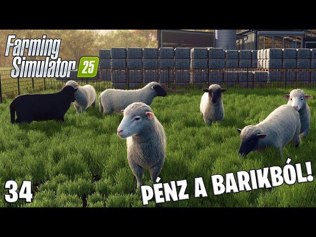 FARMING SIMULATOR 25 LIVE #34 - BÁRÁNY️GYAPJÚ️SZÖVET️RUHA️PÉNZ! Na de mennyi?