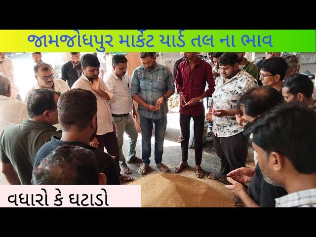 જામજોધપુર માર્કેટ યાર્ડ તલ નો ભાવ | ભાવ એ વધ્યો કે ઘટાડો થયો #માર્કેટયાર્ડ #તલ #ભાવ #ખેડૂત