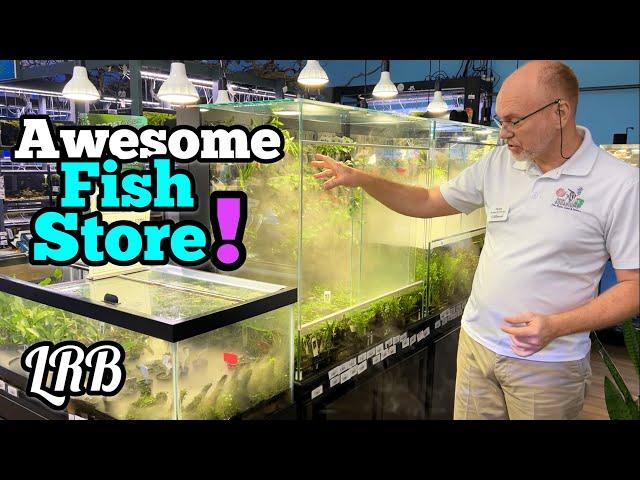 Hobbyist Dream | Nature Aquariums Fish Store Tour