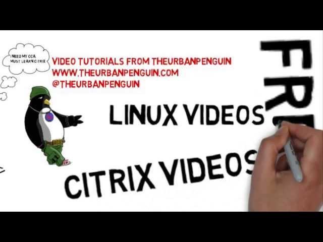 TheUrbanPenguin