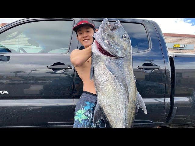 Hawaii Spearfishing | The Journey To My First ULUA | Spearfishing For Giant Trevally