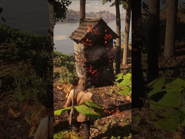 Gertrude Braithwaite - Can you destroy her Outhouse with a Molotov cocktail? #shorts #rdr2 (