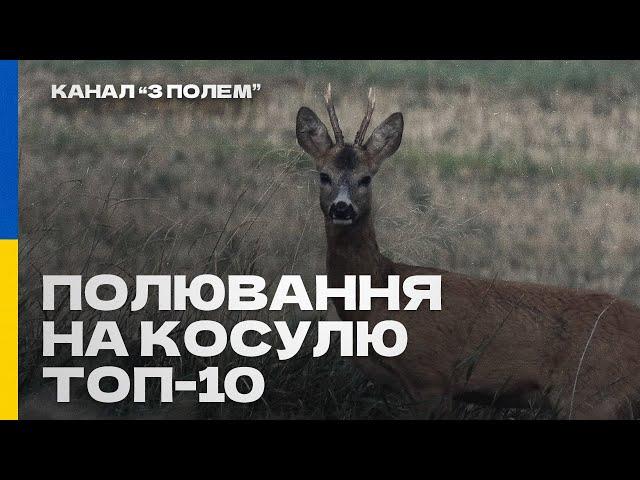 Полювання на косулю - постріли! ТОП-10