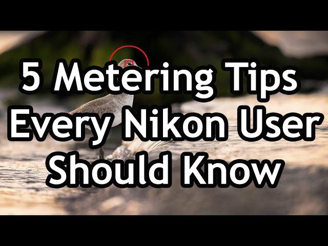 5 Metering & Exposure Tips Every Nikon User Needs To Know