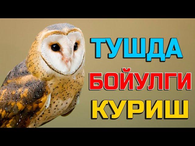 Туш табири - Тушда бойугли куриш